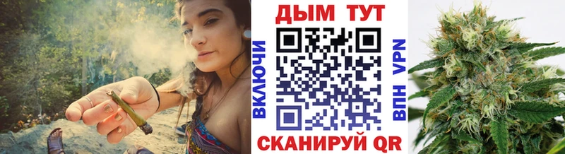 Бошки марихуана VHQ  продажа наркотиков  Новоалександровск 